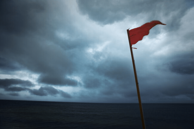 new IT role - red flags